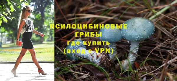 герыч Алзамай